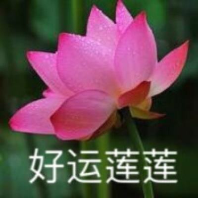王帅就任新三板创新层公司广东羚光监事会主席,监事